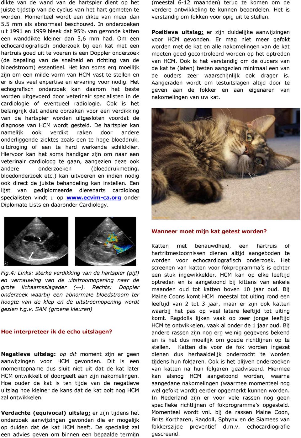 Om een echocardiografisch onderzoek bij een kat met een hartruis goed uit te voeren is een Doppler onderzoek (de bepaling van de snelheid en richting van de bloedstroom) essentieel.