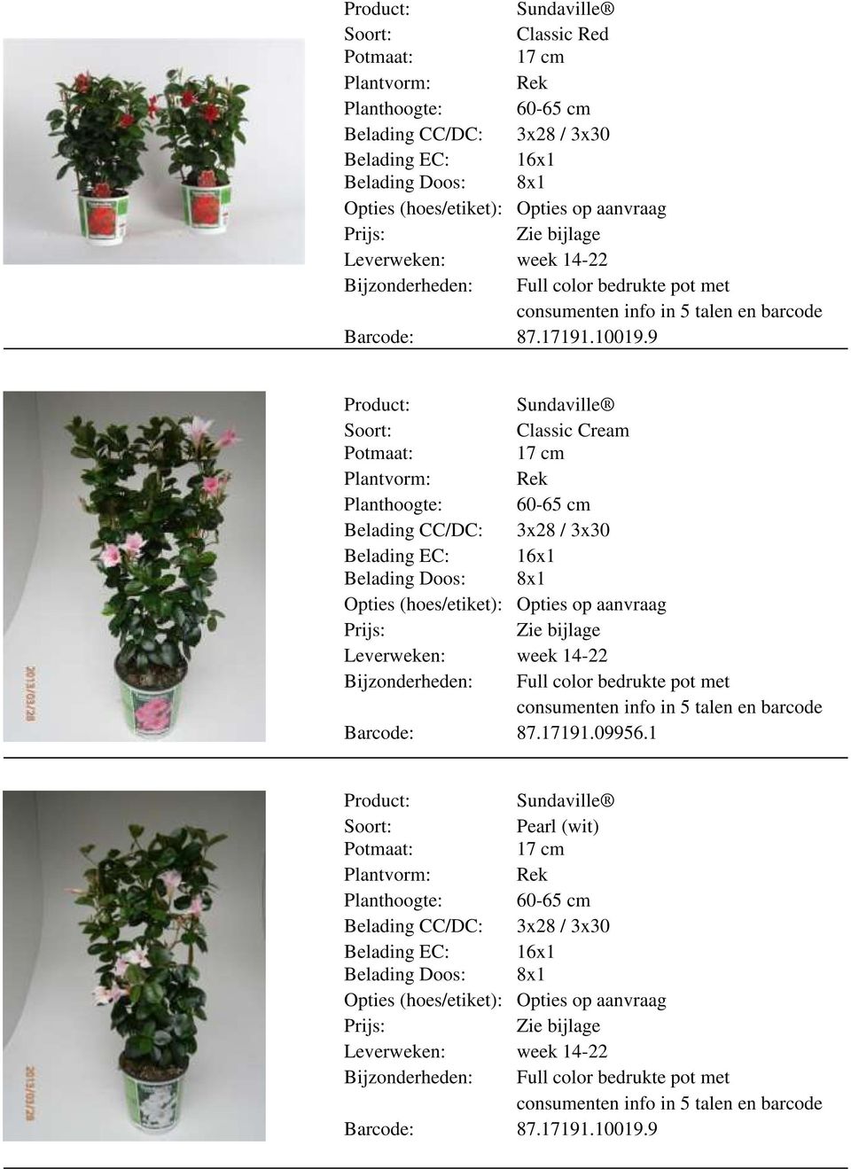 9 Classic Cream 17 cm Plantvorm: Rek Planthoogte: 60-65 cm Belading CC/DC: 3x28 / 3x30 Belading EC: 16x1 Belading Doos: 8x1 Bijzonderheden: Full color bedrukte