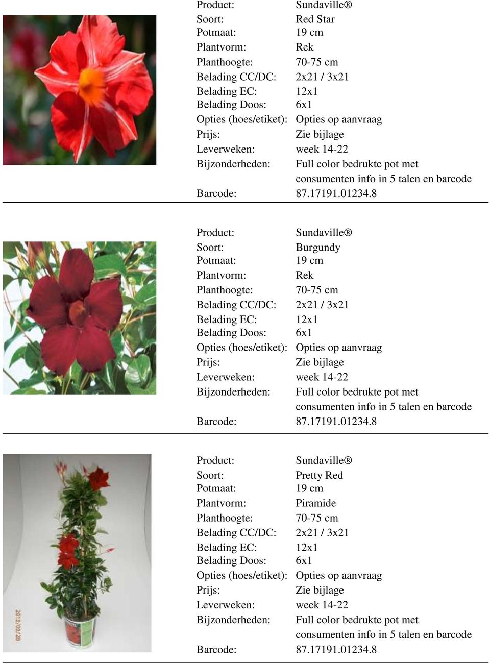 8 Burgundy Plantvorm: Rek Bijzonderheden: Full color bedrukte pot met in 5 talen en 8