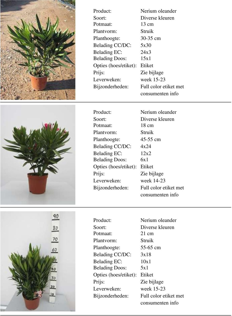 Planthoogte: 45-55 cm Belading CC/DC: 4x24 Belading EC: 12x2 Leverweken: week 14-23 Nerium oleander Diverse