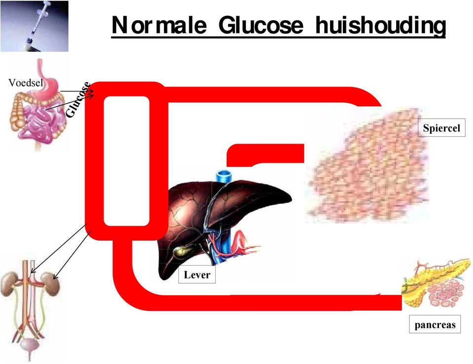 Voedsel Glucose