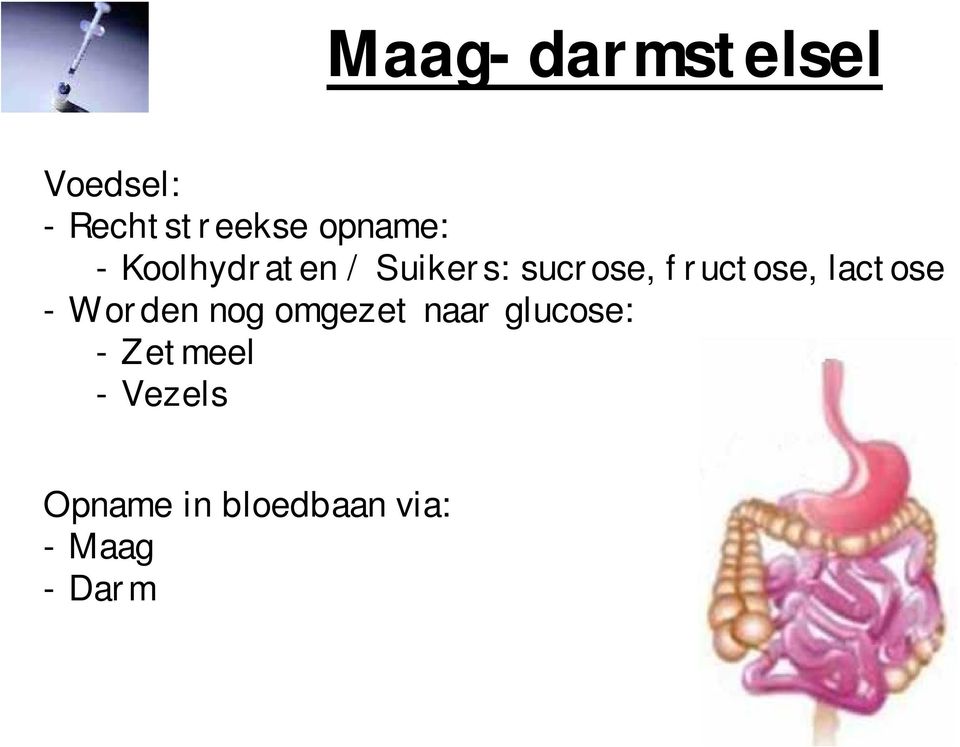 fructose, lactose - Worden nog omgezet naar