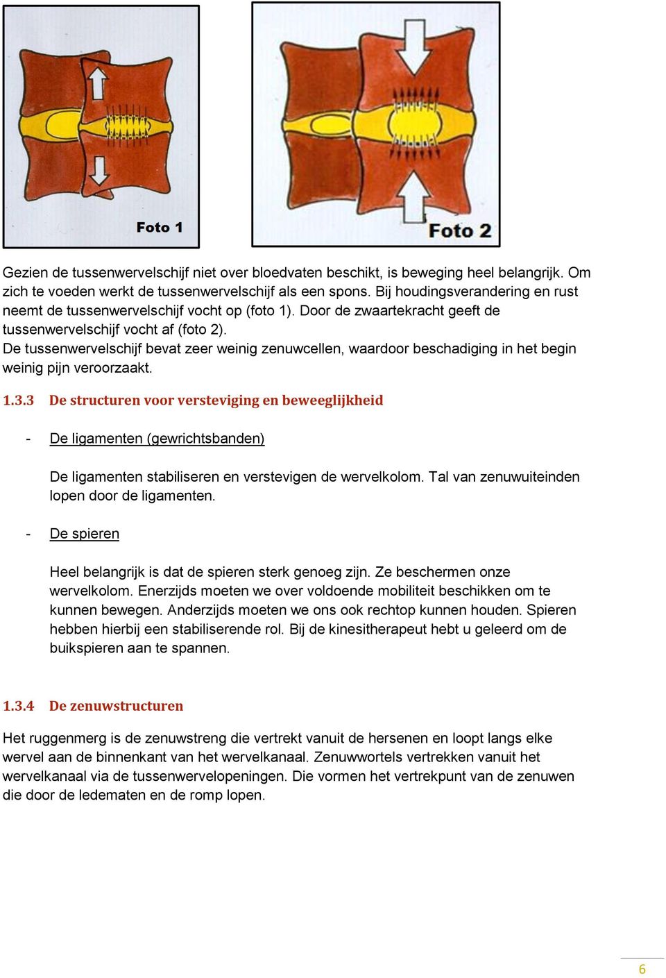 De tussenwervelschijf bevat zeer weinig zenuwcellen, waardoor beschadiging in het begin weinig pijn veroorzaakt. 1.3.