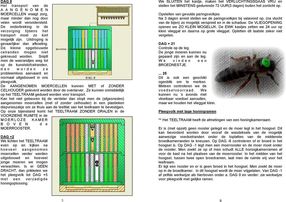 Snijdt men de wasrandjes weg tot op de kunststofcelranden, d a n w o r d e n z e probleemloos aanvaard en normaal uitgebouwd in ons pleegvolk.