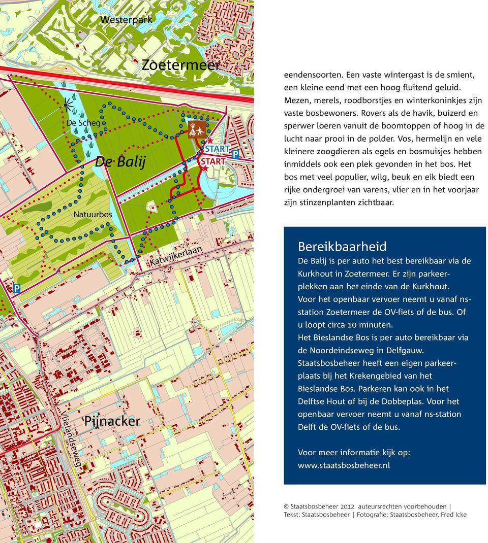 Vos, hermelijn en vele kleinere zoogdieren als egels en bosmuisjes hebben inmiddels ook een plek gevonden in het bos.