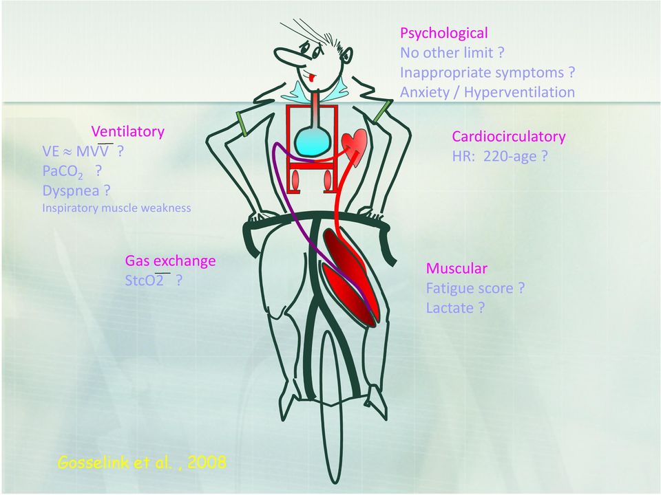 Cardiocirculatory HR: 22-age?