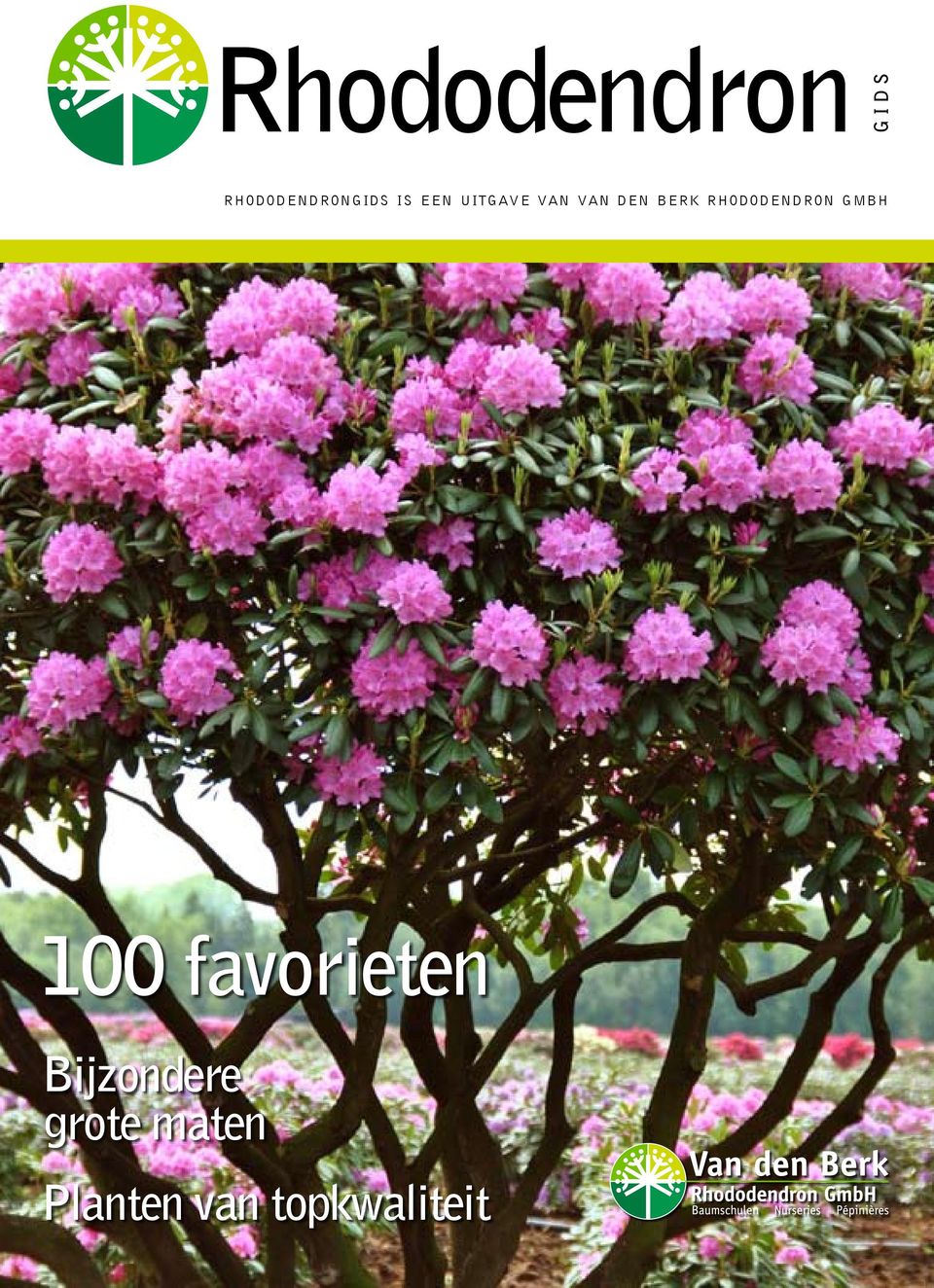 rhododendron gmbh 100 favorieten