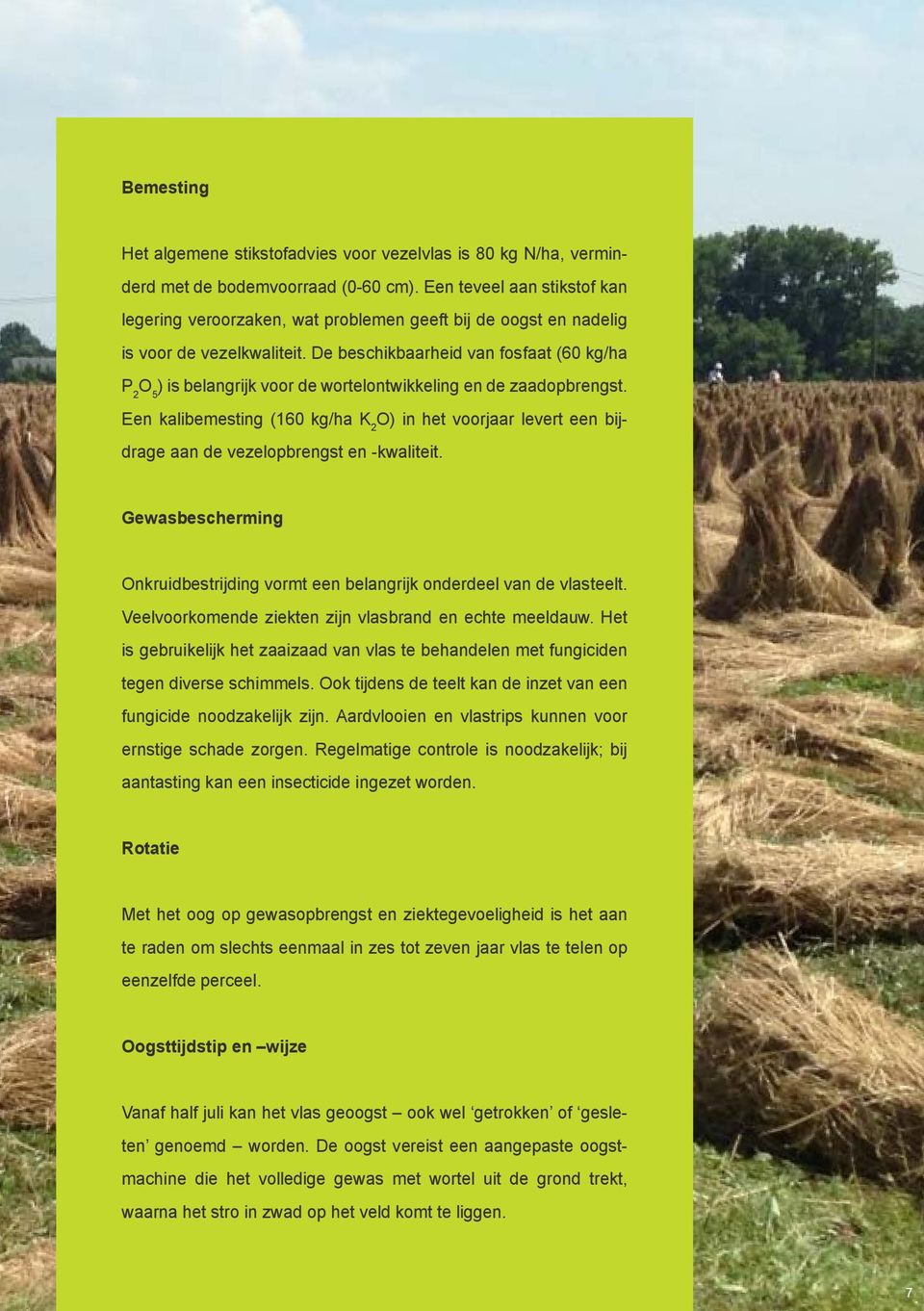De beschikbaarheid van fosfaat (60 kg/ha P 2 O 5 ) is belangrijk voor de wortelontwikkeling en de zaadopbrengst.