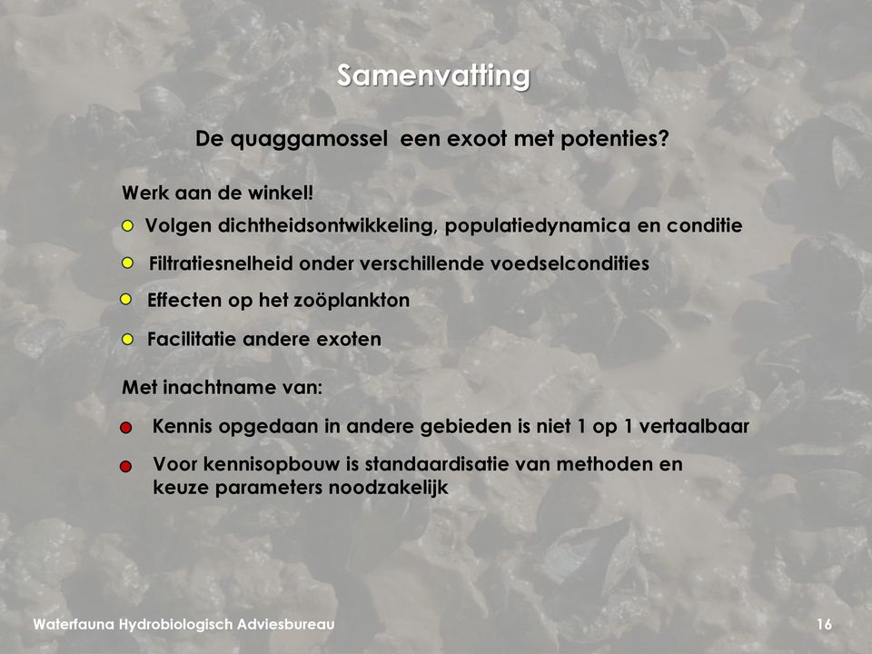 Volgen dichtheidsontwikkeling, populatiedynamica en conditie Filtratiesnelheid onder verschillende