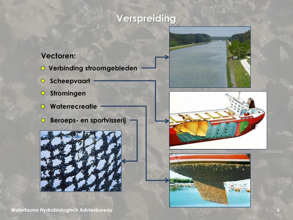 Scheepvaart Stromingen