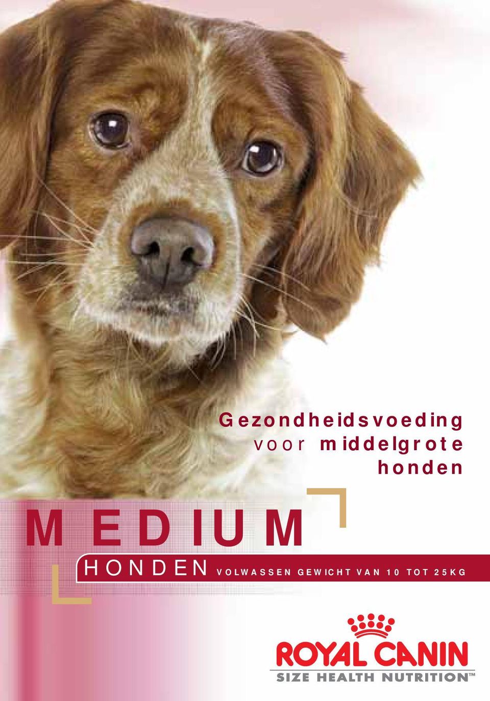 honden MEDIUM