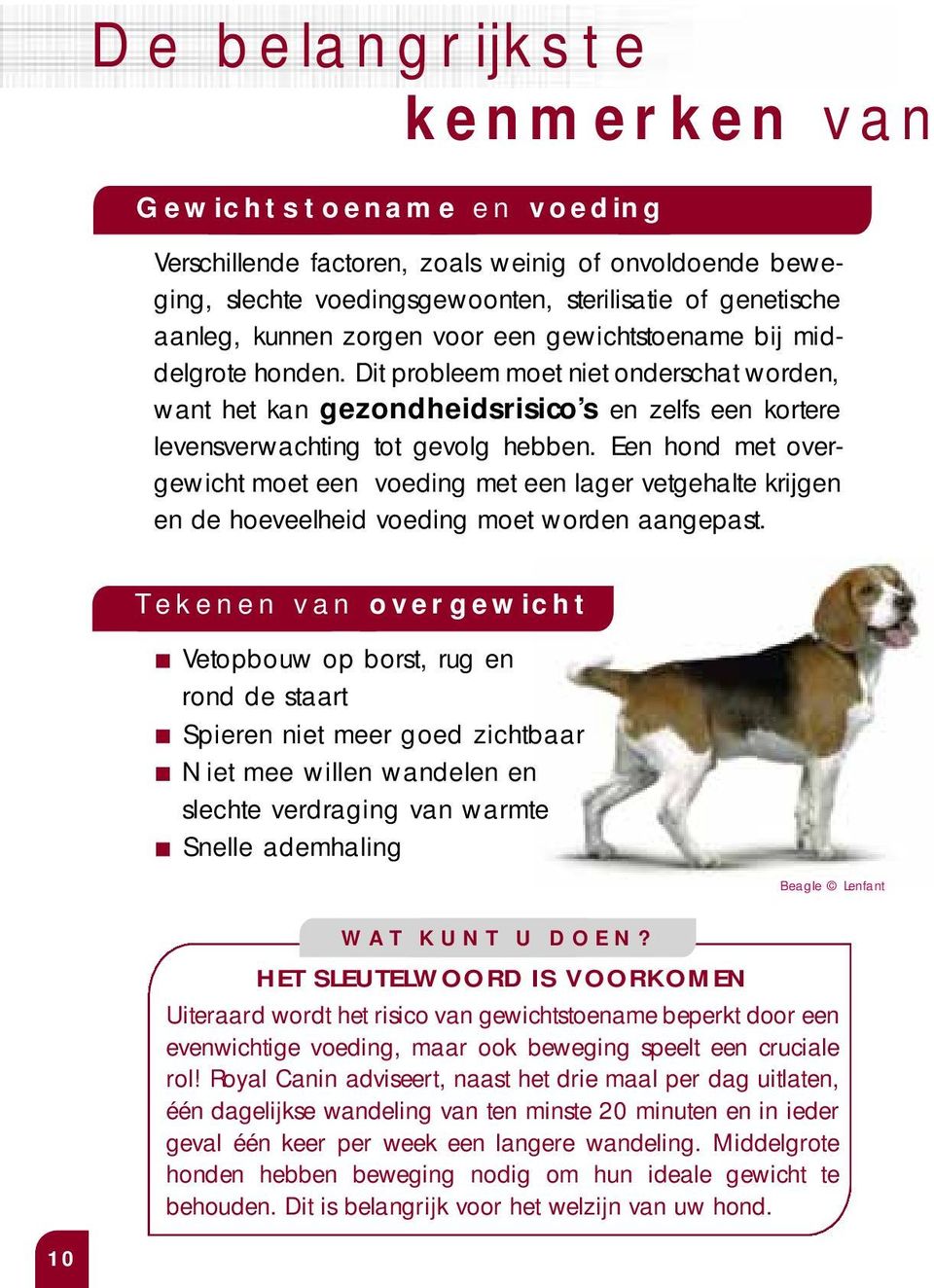 Een hond met overgewicht moet een voeding met een lager vetgehalte krijgen en de hoeveelheid voeding moet worden aangepast.