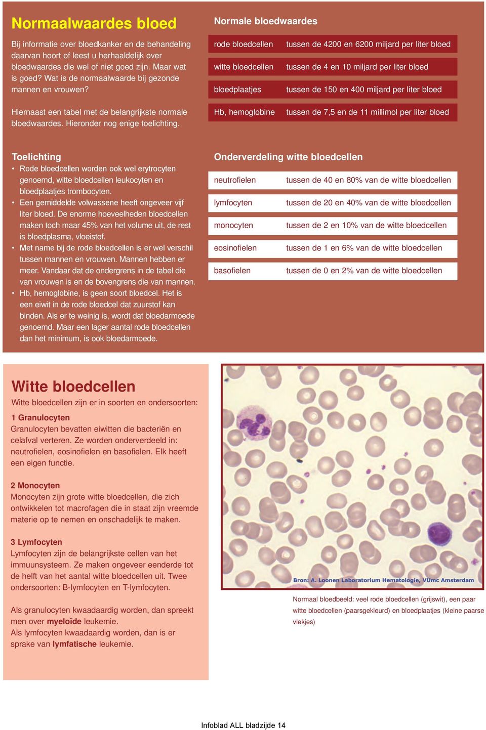 rode bloedcellen witte bloedcellen bloedplaatjes tussen de 4200 en 6200 miljard per liter bloed tussen de 4 en 10 miljard per liter bloed tussen de 150 en 400 miljard per liter bloed Hiernaast een