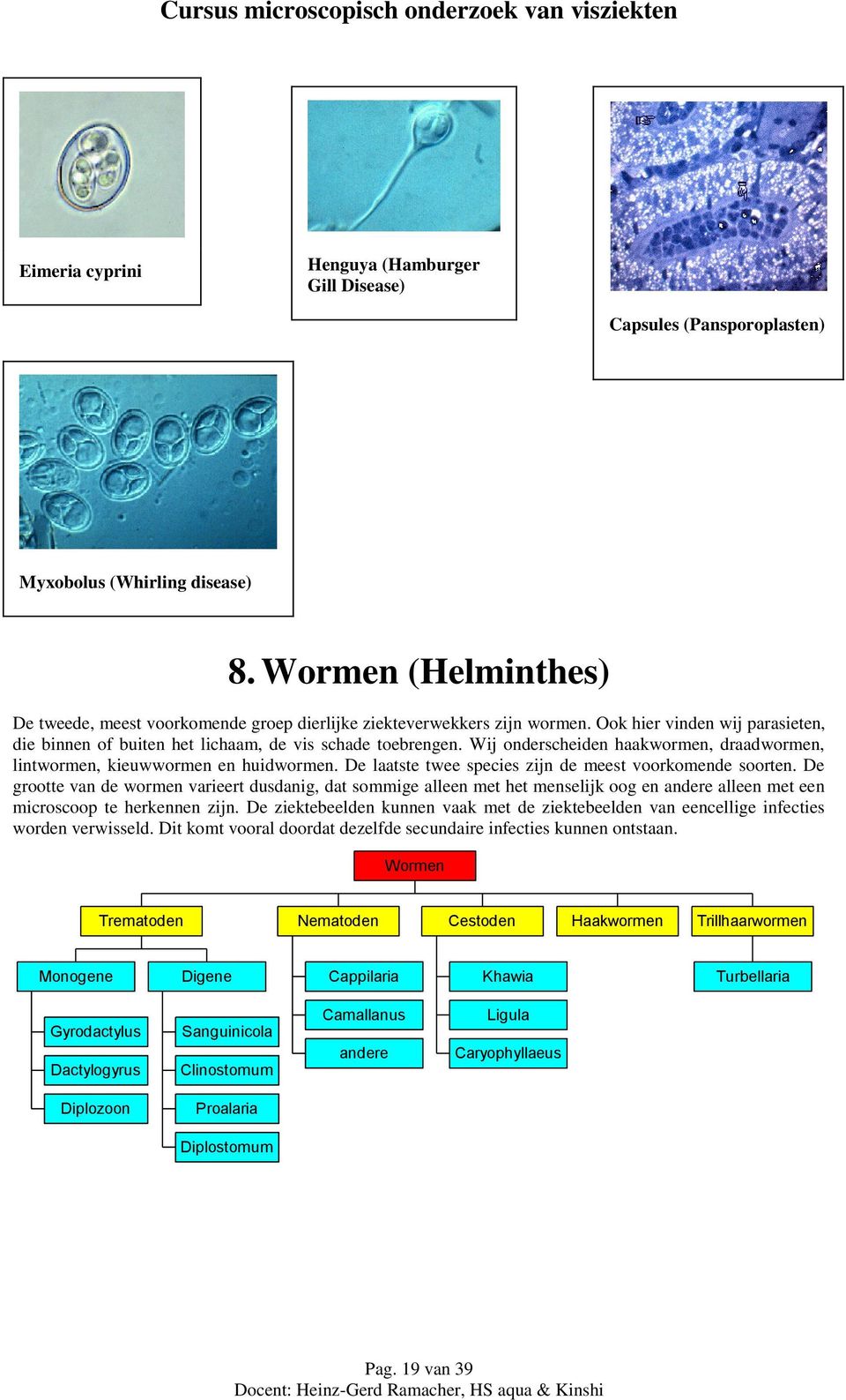 Wij onderscheiden haakwormen, draadwormen, lintwormen, kieuwwormen en huidwormen. De laatste twee species zijn de meest voorkomende soorten.