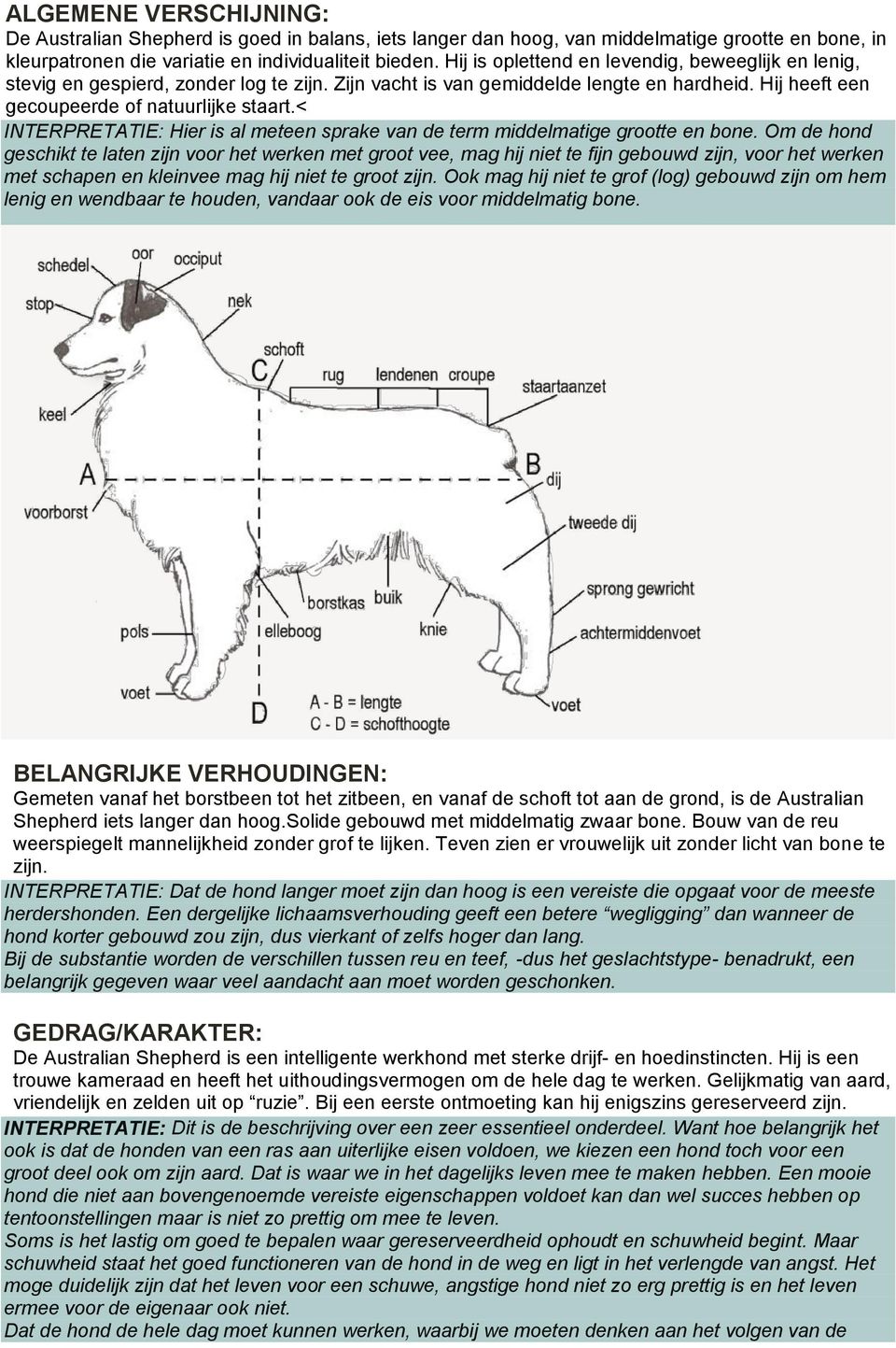 < INTERPRETATIE: Hier is al meteen sprake van de term middelmatige grootte en bone.