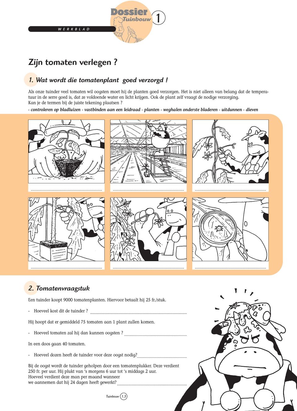 Kan je de termen bij de juiste tekening plaatsen? - controleren op bladluizen - vastbinden aan een leidraad - planten - weghalen onderste bladeren - uitdunnen - dieven 2.