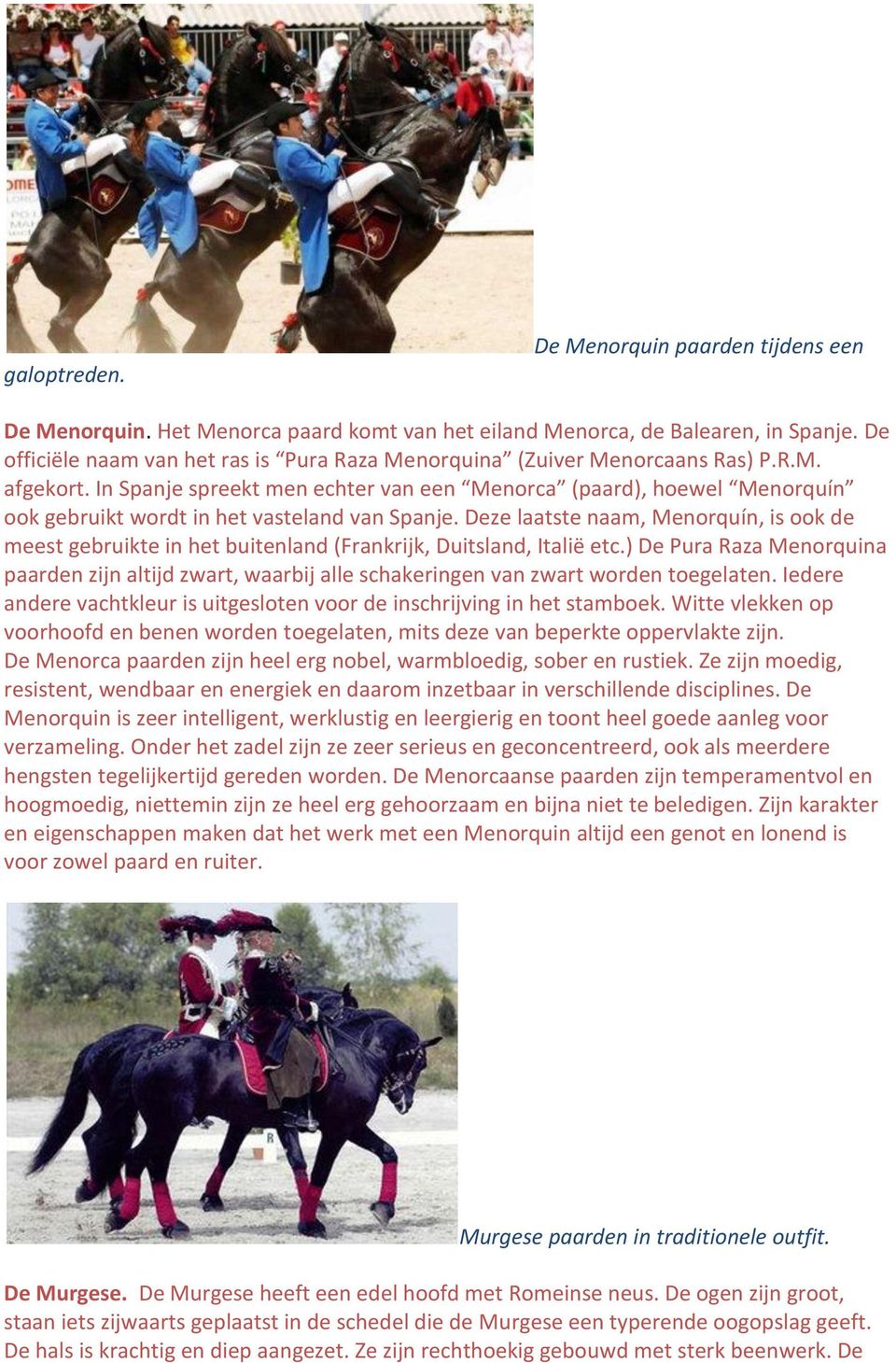 In Spanje spreekt men echter van een Menorca (paard), hoewel Menorquín ook gebruikt wordt in het vasteland van Spanje.