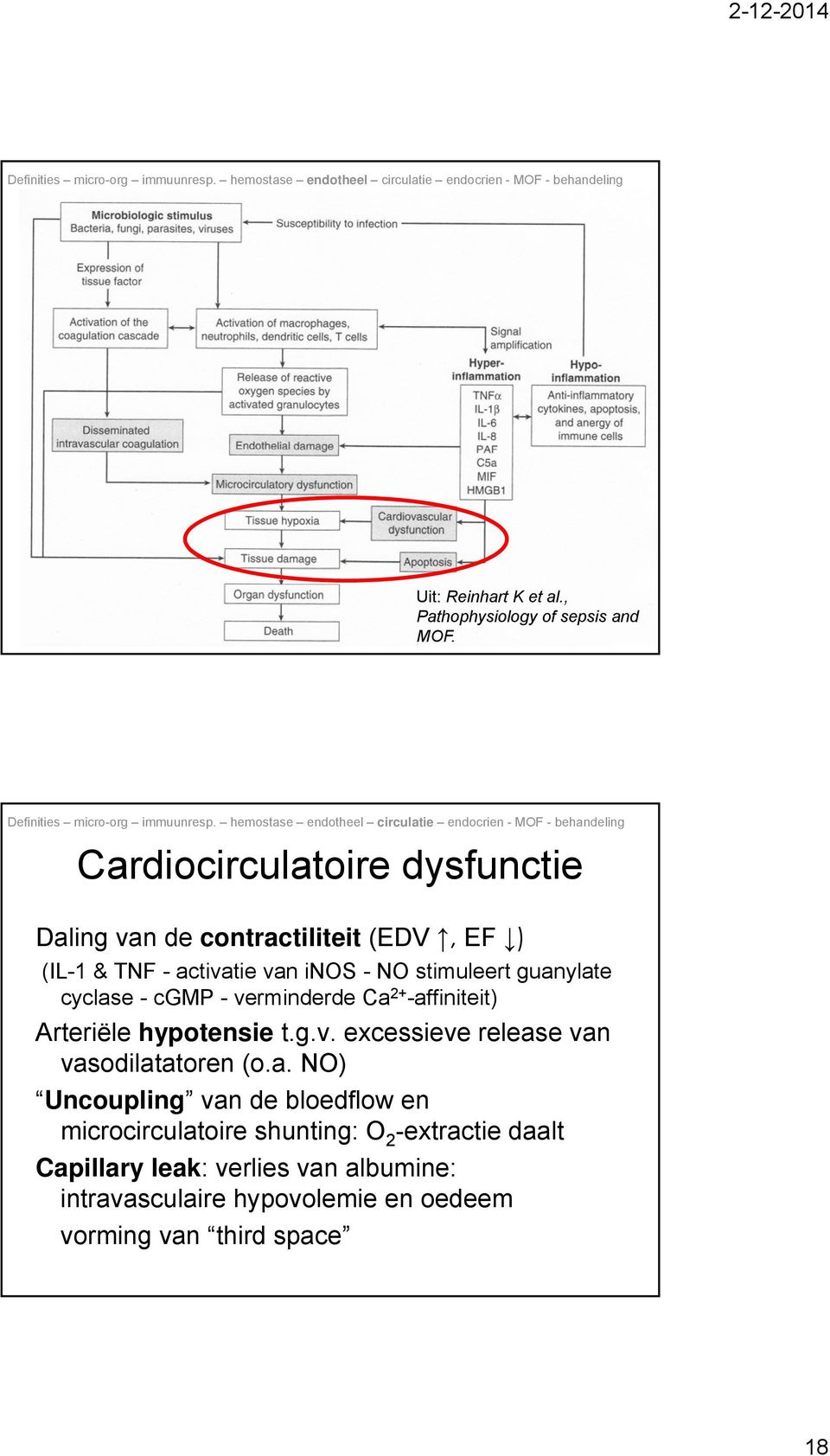 guanylate cyclase - cgmp - verminderde Ca 2+ -affiniteit) Arteriële hypotensie t.g.v. excessieve release van vasodilatatoren (o.