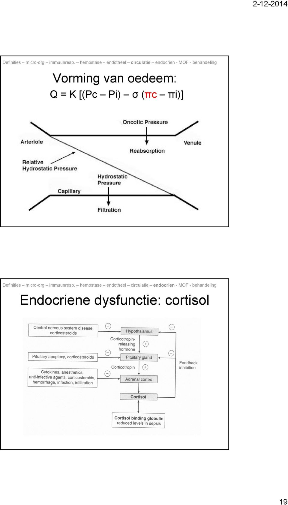 (πc πi)] Endocriene