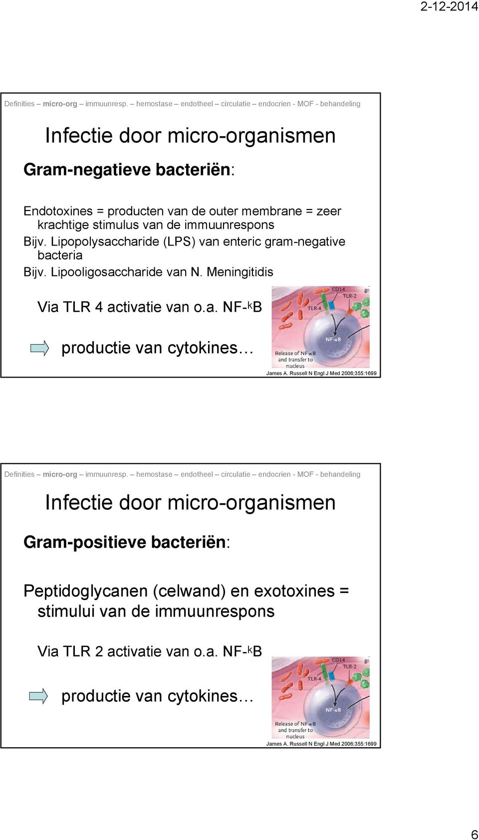 Russell N Engl J Med 2006;355:1699 Infectie door micro-organismen Gram-positieve bacteriën: Peptidoglycanen (celwand) en exotoxines = stimului van de