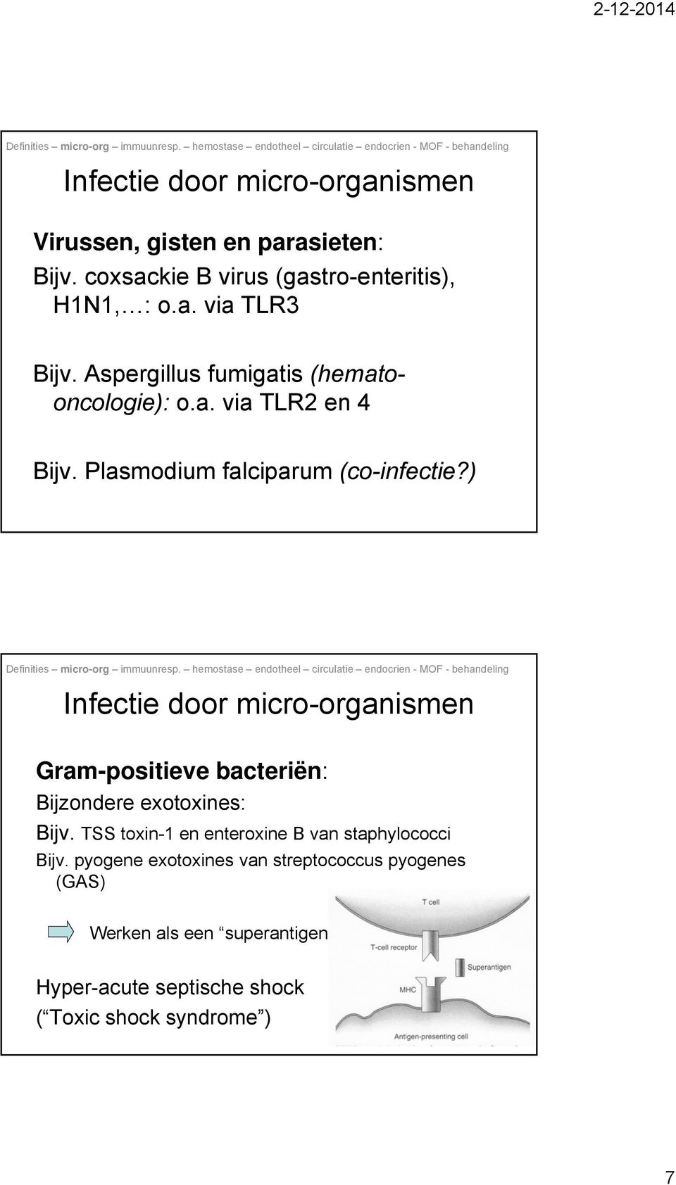 ) Infectie door micro-organismen Gram-positieve bacteriën: Bijzondere exotoxines: Bijv.
