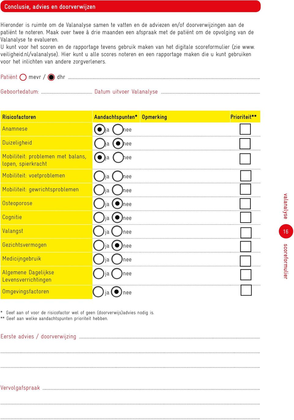U kunt voor het scoren en de rapportage tevens gebruik maken van het digitale scoreformulier (zie www. veiligheid.nl/valanalyse).
