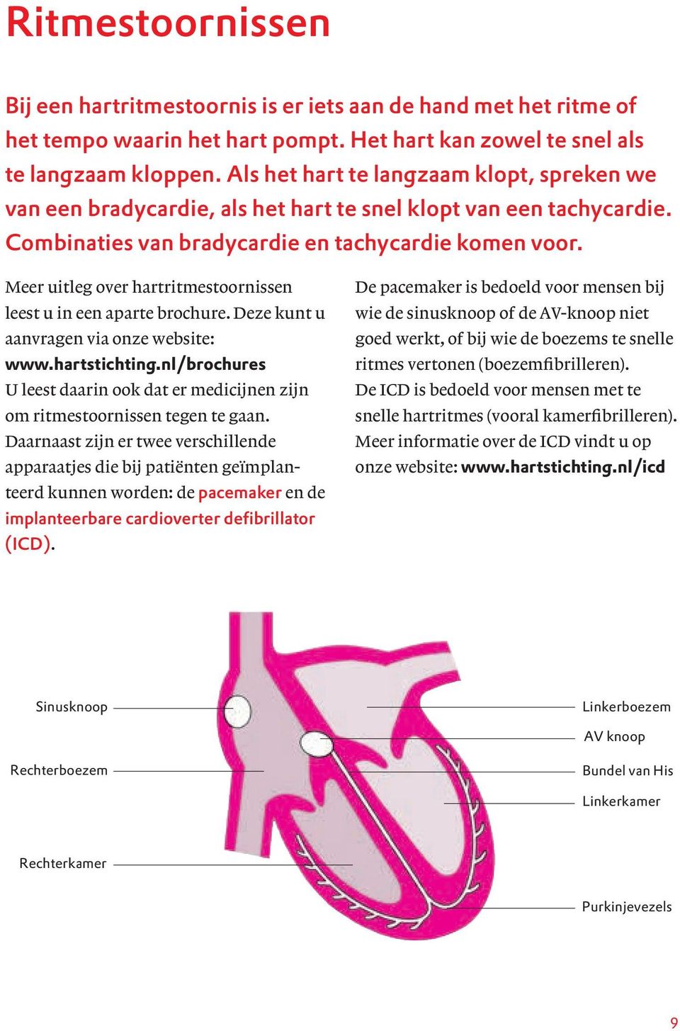 Meer uitleg over hartritmestoornissen leest u in een aparte brochure. Deze kunt u aanvragen via onze website: www.hartstichting.