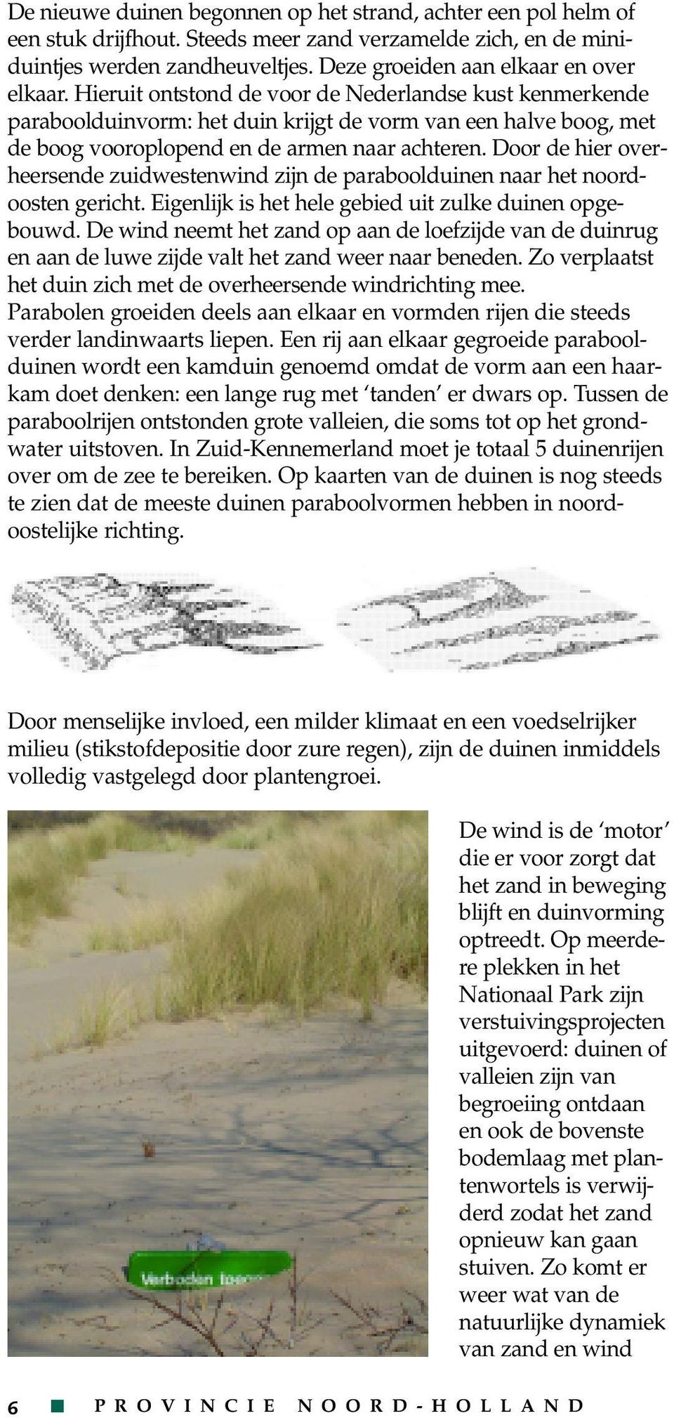 Door de hier overheersende zuidwestenwind zijn de paraboolduinen naar het noordoosten gericht. Eigenlijk is het hele gebied uit zulke duinen opgebouwd.