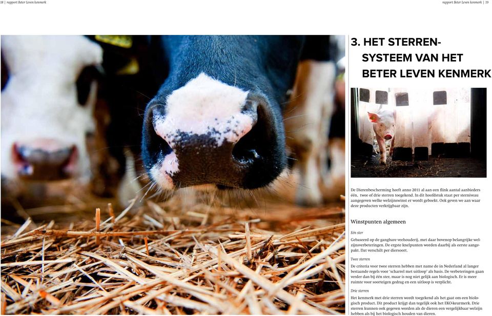 In dit hoofdstuk staat per sterniveau aangegeven welke welzijnswinst er wordt geboekt. Ook geven we aan waar deze producten verkrijgbaar zijn.