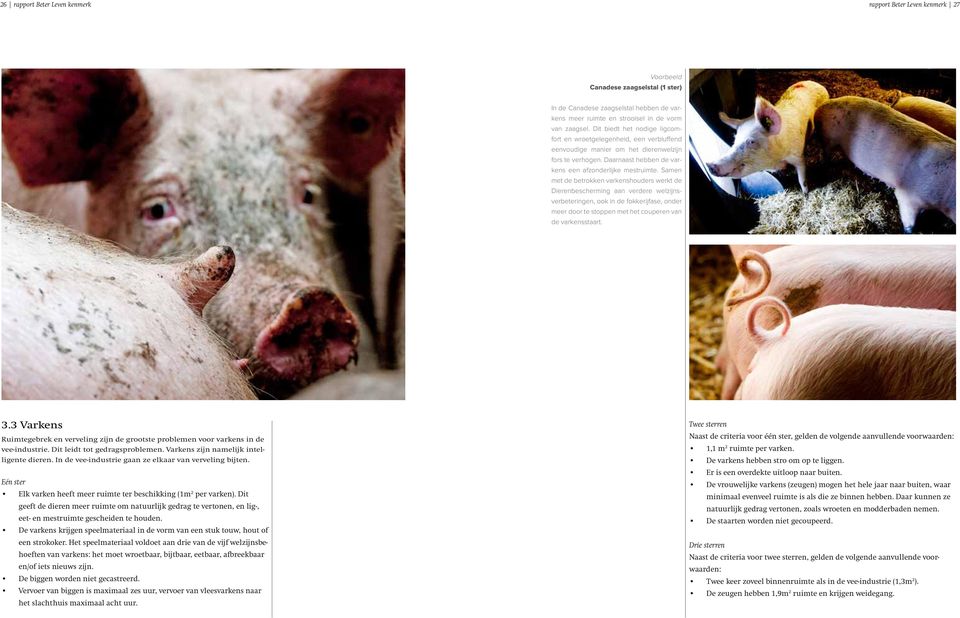 Samen met de betrokken varkenshouders werkt de Dierenbescherming aan verdere welzijnsverbeteringen, ook in de fokkerijfase, onder meer door te stoppen met het couperen van de varkensstaart. 3.