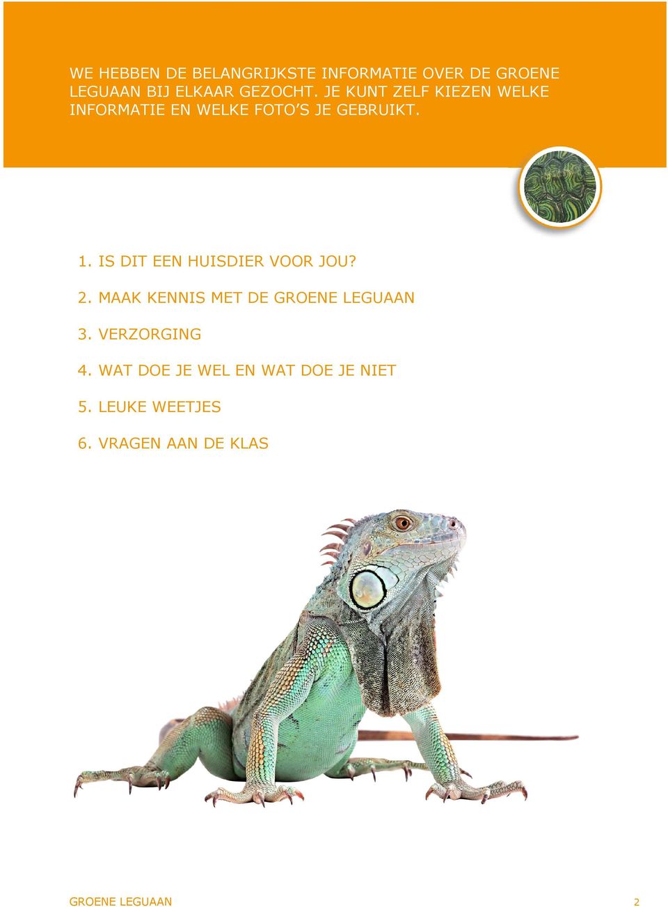 IS DIT EEN HUISDIER VOOR JOU? 2. MAAK KENNIS MET DE GROENE LEGUAAN 3.