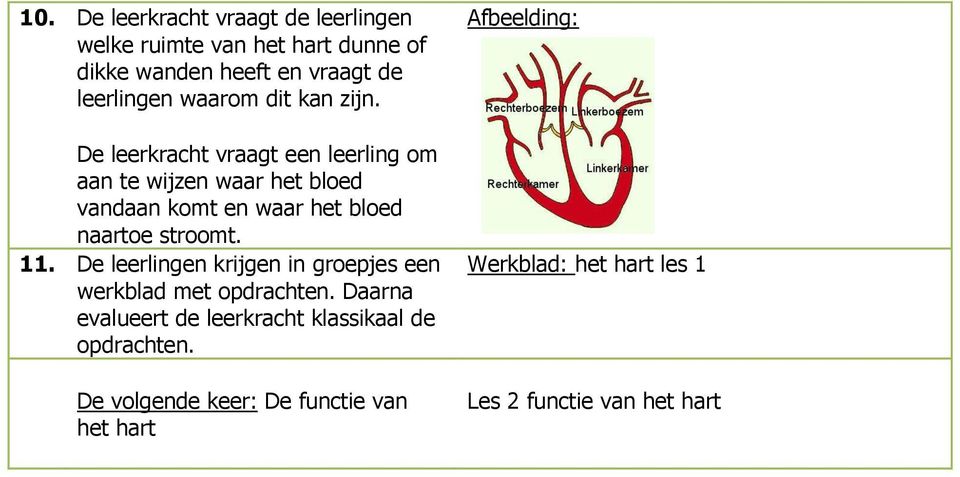 De leerkracht vraagt een leerling om aan te wijzen waar het bloed vandaan komt en waar het bloed naartoe stroomt. 11.