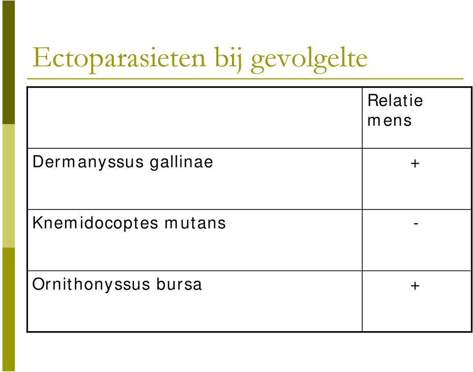 Dermanyssus gallinae +
