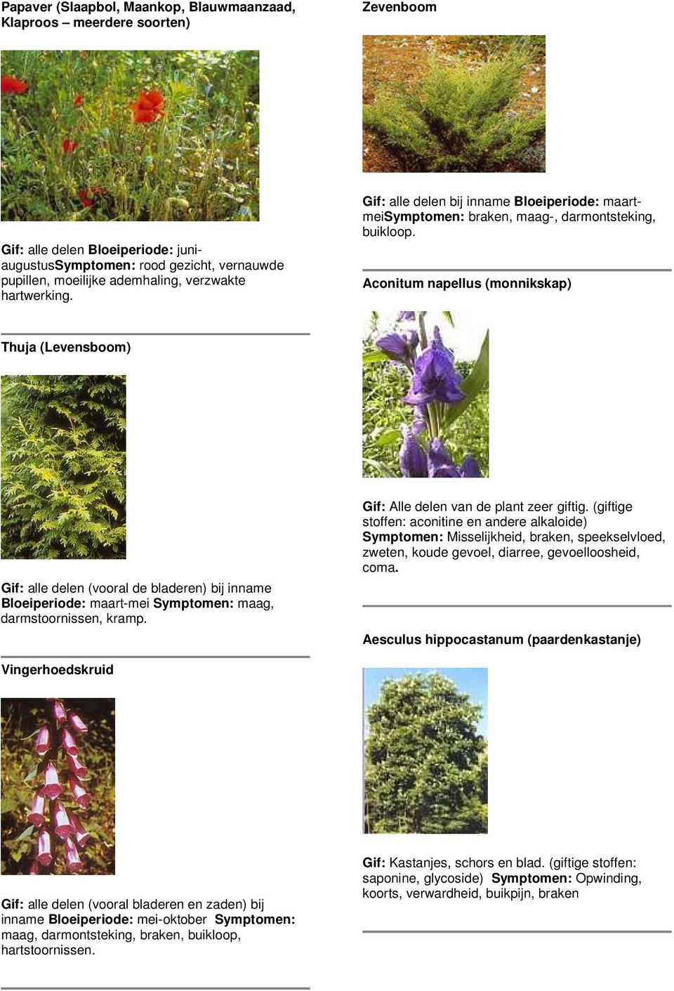 Aconitum napellus (monnikskap) Thuja (Levensboom) Gif: alle delen (vooral de bladeren) bij inname Bloeiperiode: maart-mei Symptomen: maag, darmstoornissen, kramp.