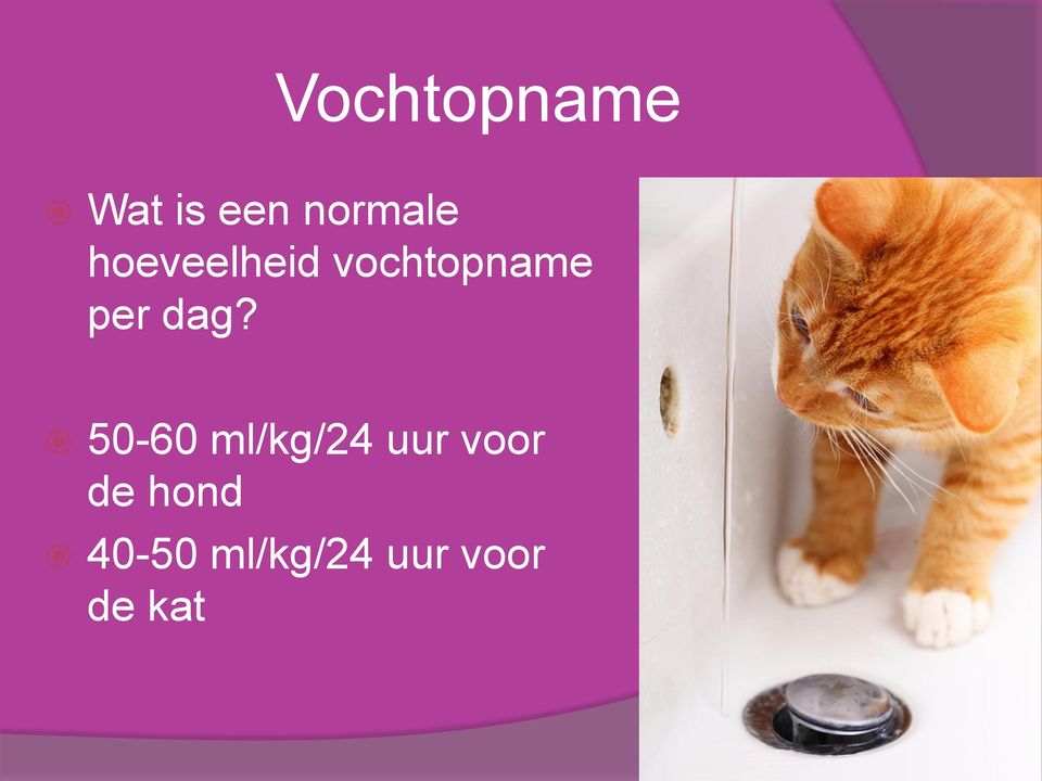 50-60 ml/kg/24 uur voor de hond