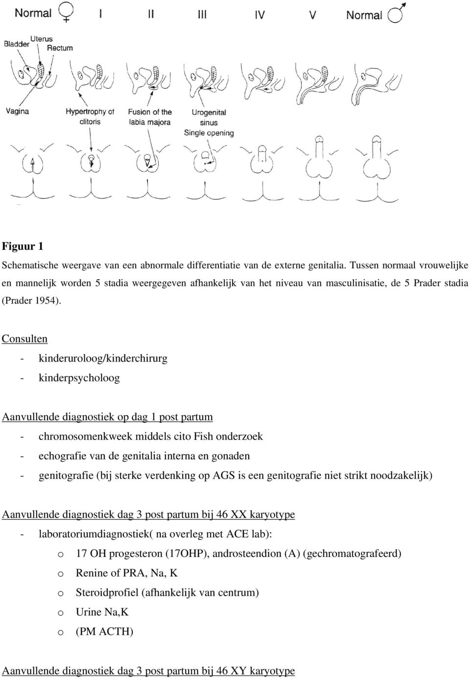 Consulten - kinderuroloog/kinderchirurg - kinderpsycholoog Aanvullende diagnostiek op dag 1 post partum - chromosomenkweek middels cito Fish onderzoek - echografie van de genitalia interna en gonaden