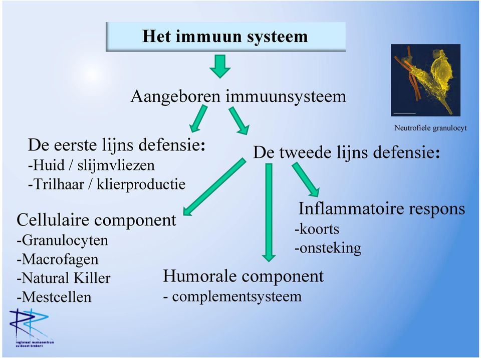 -Macrofagen -Natural Killer -Mestcellen Humorale component - complementsysteem