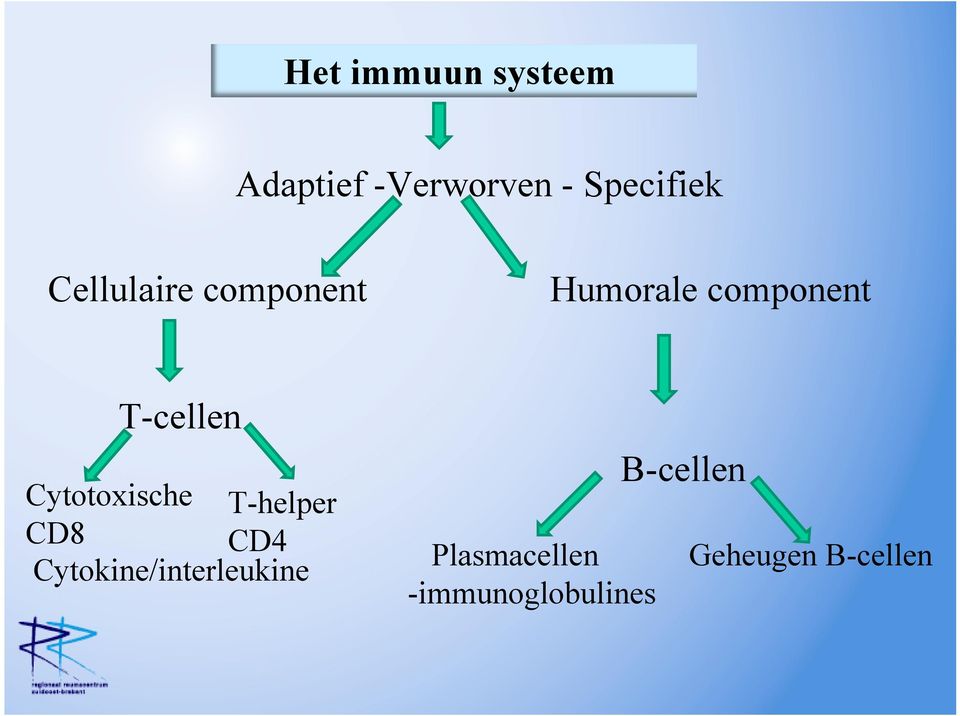 Cytotoxische T-helper CD8 CD4 Cytokine/interleukine