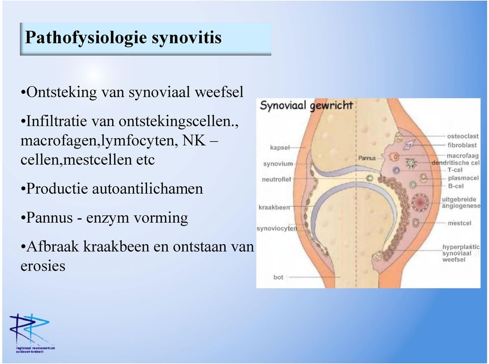 , macrofagen,lymfocyten, NK cellen,mestcellen etc