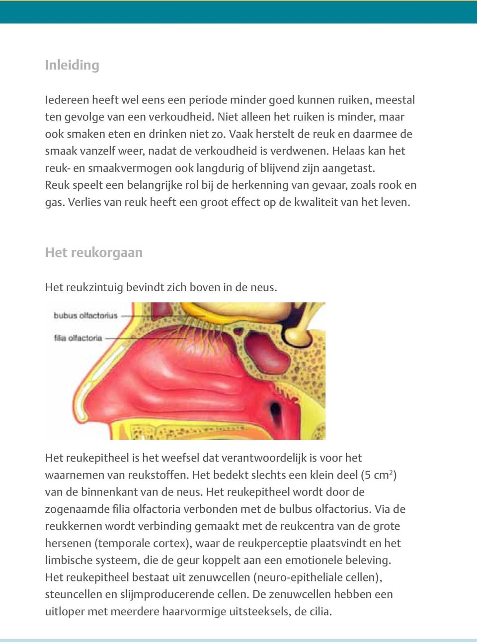 Reuk speelt een belangrijke rol bij de herkenning van gevaar, zoals rook en gas. Verlies van reuk heeft een groot effect op de kwaliteit van het leven.