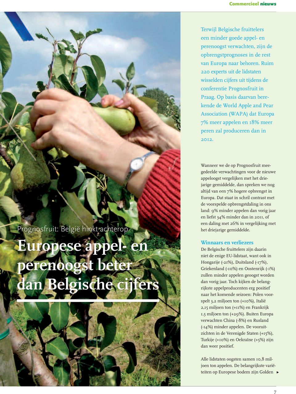 Op basis daarvan berekende de World Apple and Pear Association (WAPA) dat Europa 7% meer appelen en 18% meer peren zal produceren dan in 2012.