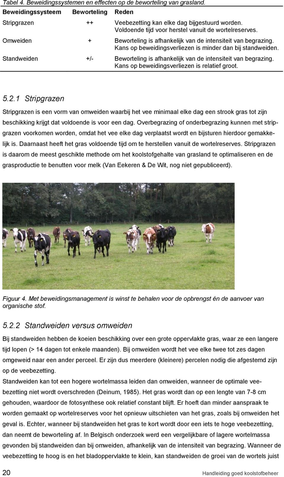 Standweiden +/- Beworteling is afhankelijk van de intensiteit van begrazing. Kans op beweidingsverliezen is relatief groot. 5.2.