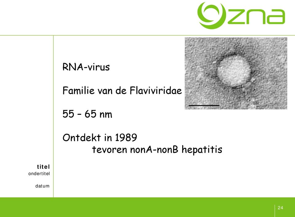 nm Ontdekt in 1989