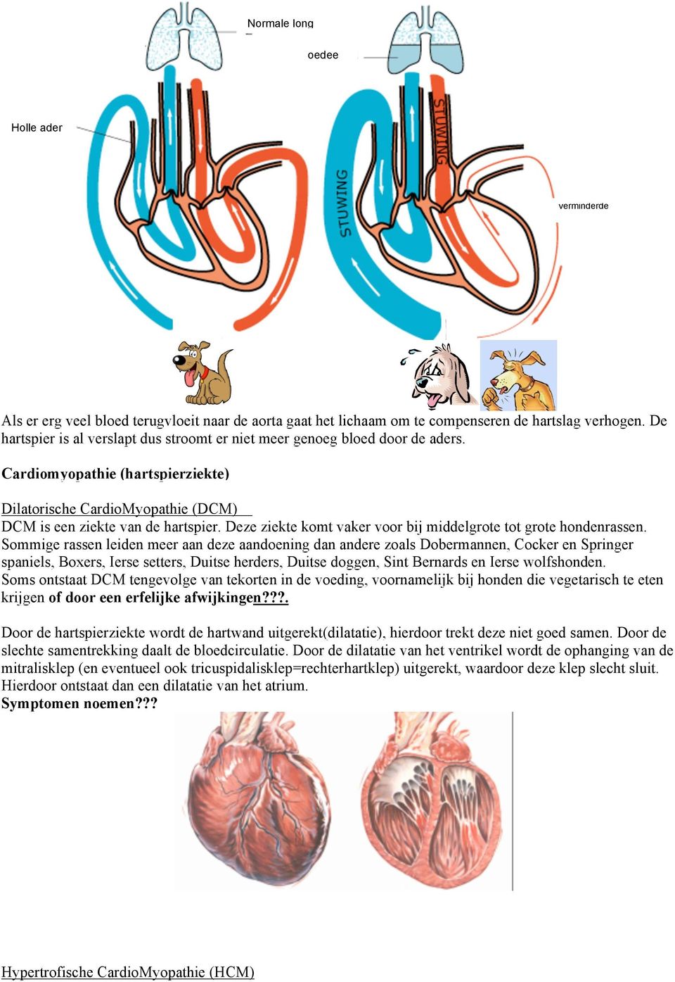 Deze ziekte komt vaker voor bij middelgrote tot grote hondenrassen.