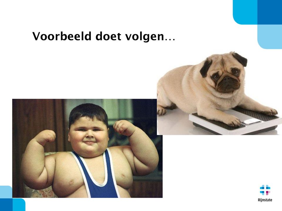 volgen