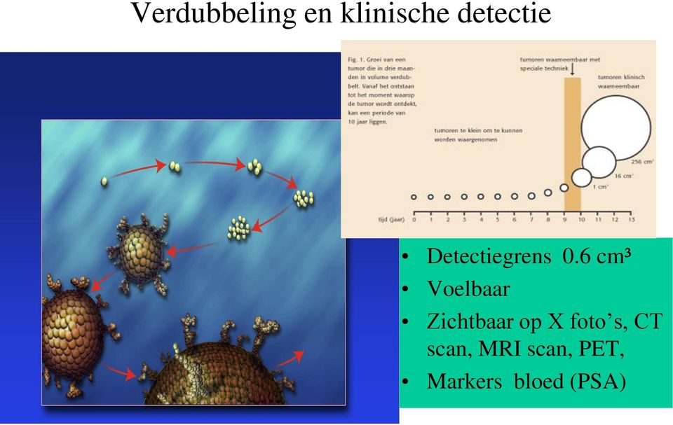 6 cm³ Voelbaar Zichtbaar op X