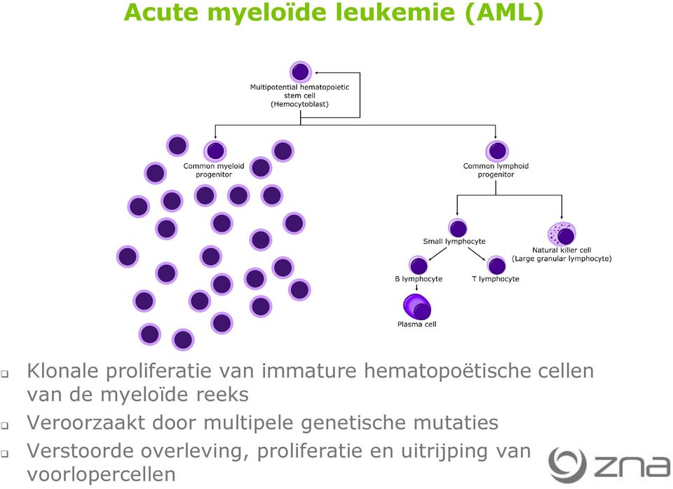 Veroorzaakt door multipele genetische mutaties