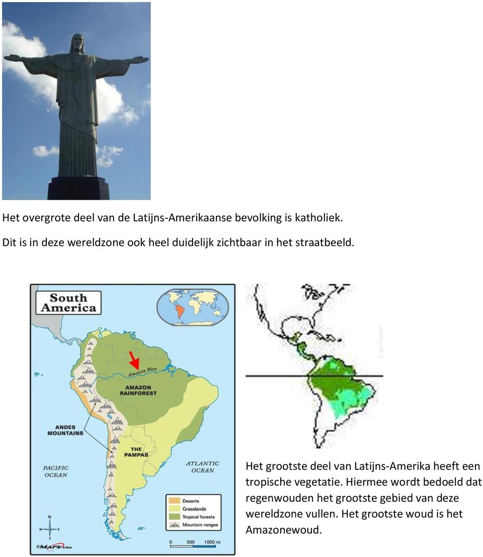 Het grootste deel van Latijns-Amerika heeft een tropische vegetatie.