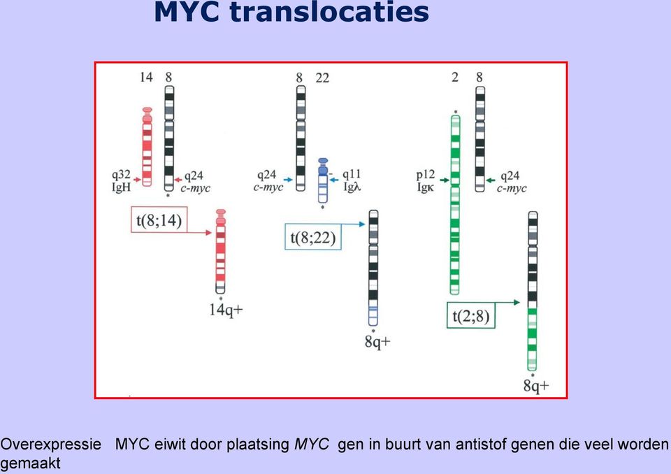 plaatsing MYC gen in buurt