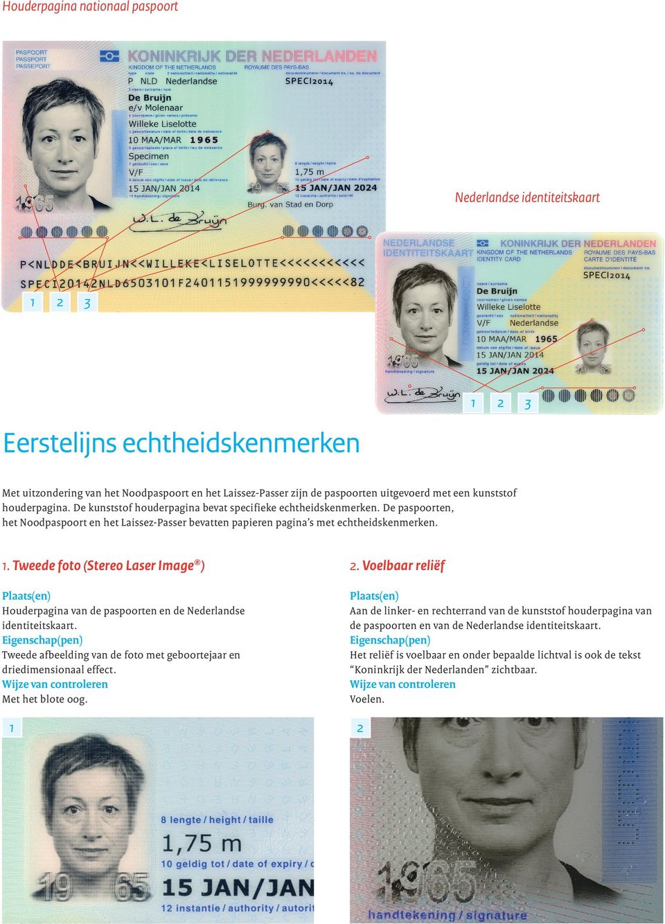 Tweede foto (Stereo Laser Image ) 2. Voelbaar reliëf Houderpagina van de paspoorten en de Nederlandse identiteitskaart.